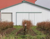 naves-prefabricadas-navekit-naves-agricolas-almacen-vinedos-cereal-cultivo