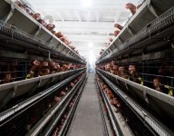 naves-prefabricadas-navekit-naves-agricolas-avicola