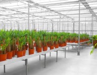 naves-prefabricadas-navekit-naves-agricolas-jardineria-garden