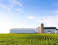 naves-prefabricadas-navekit-naves-agricolas-pabellon-agricola