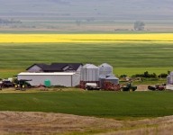 naves-prefabricadas-navekit-naves-agricolas-pabellon-agricola-tractor