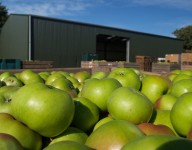 naves-prefabricadas-navekit-naves-agricolas-prefabricadas
