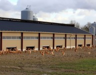 naves-prefabricadas-naves-agricolas-naves-avicolas