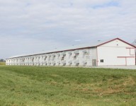 naves-prefabricadas-naves-agricolas-naves-chapa