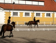 naves-prefabricadas-naves-ganaderas-hipica-picadero-caballos