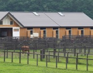naves-prefabricadas-naves-ganaderas-picadero-caballos-hipica