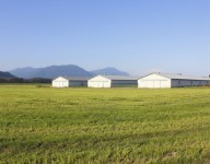 naves-prefabricadas-navekit-naves-agricolas